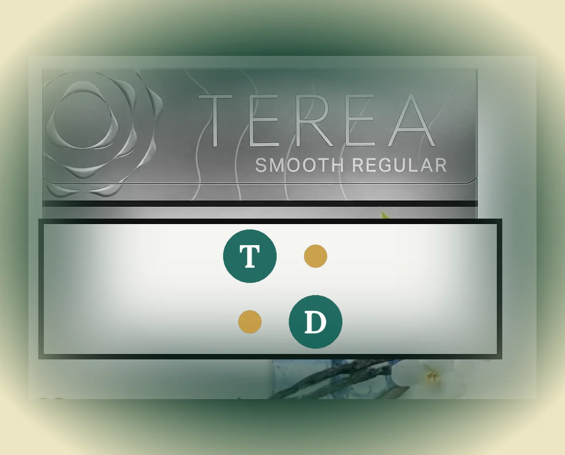 TEREA Smooth Regular Japan pack of 20 sticks — buy in Dubai UAE