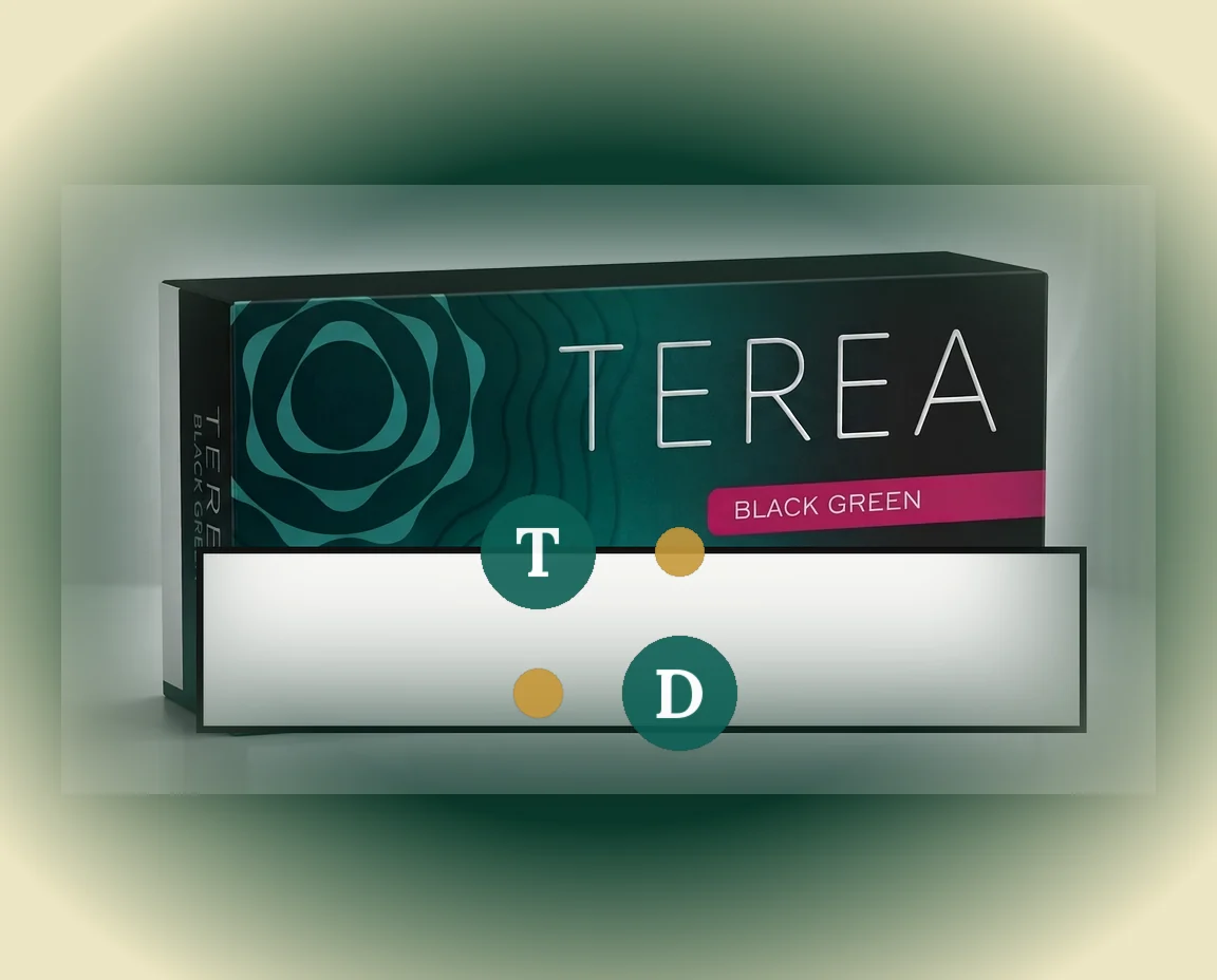 TEREA Black Green Indonesia pack of 20 sticks — buy in Dubai UAE