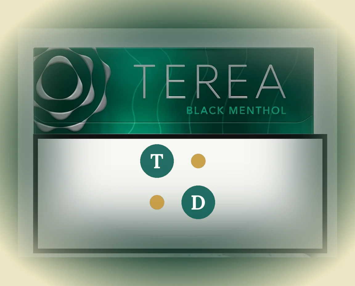 TEREA Black Menthol Japan pack of 20 sticks — buy in Dubai UAE