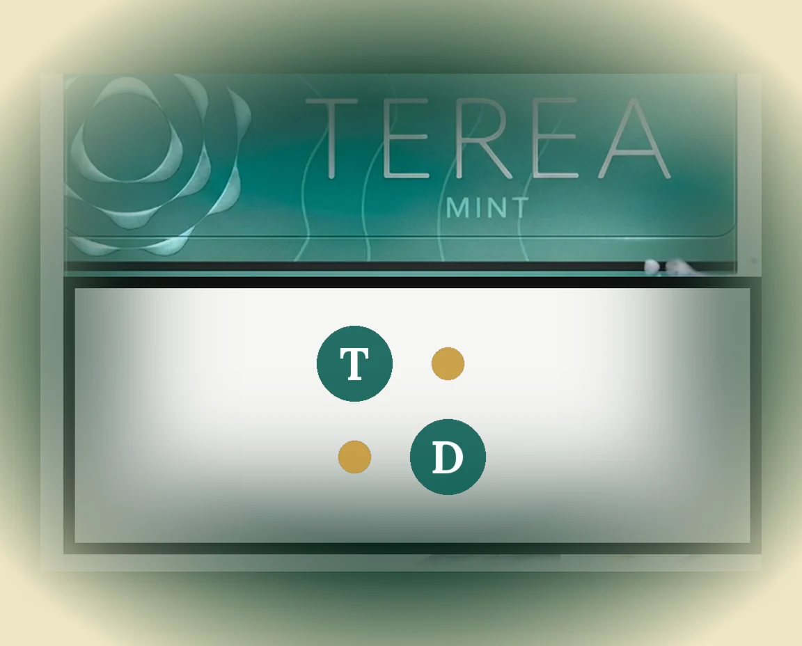 TEREA Mint Japan pack of 20 sticks — buy in Dubai UAE