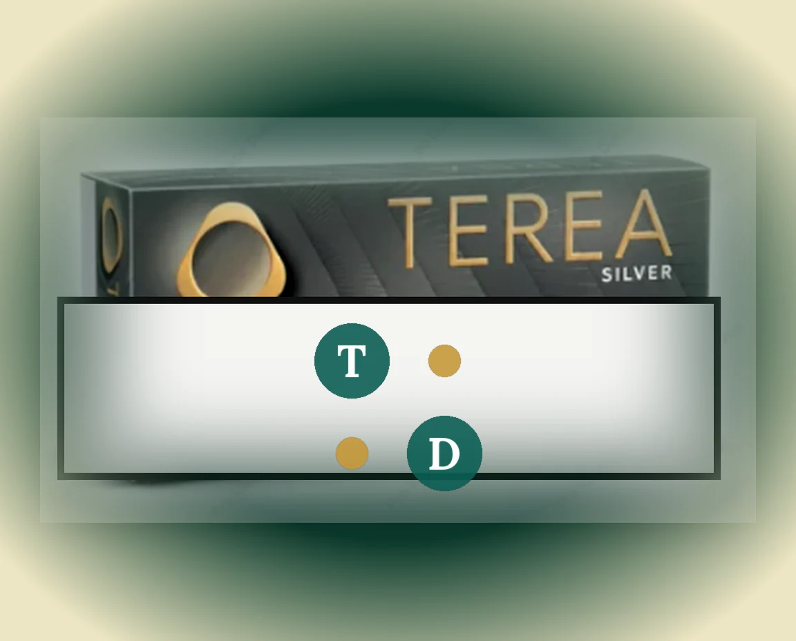 TEREA Silver Italy pack of 20 sticks — buy in Dubai UAE