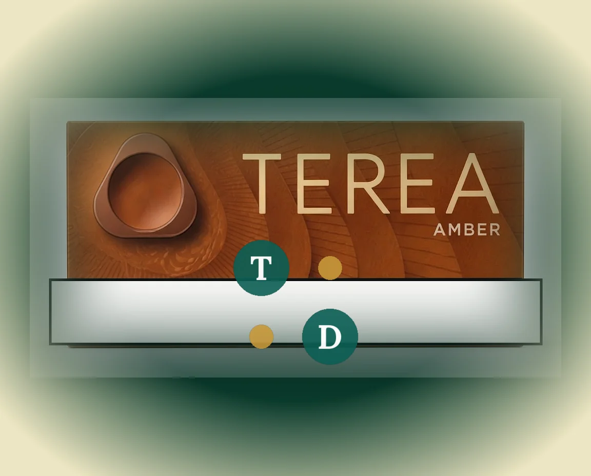 TEREA Amber Kyrgyzstan pack of 20 sticks — buy in Dubai UAE