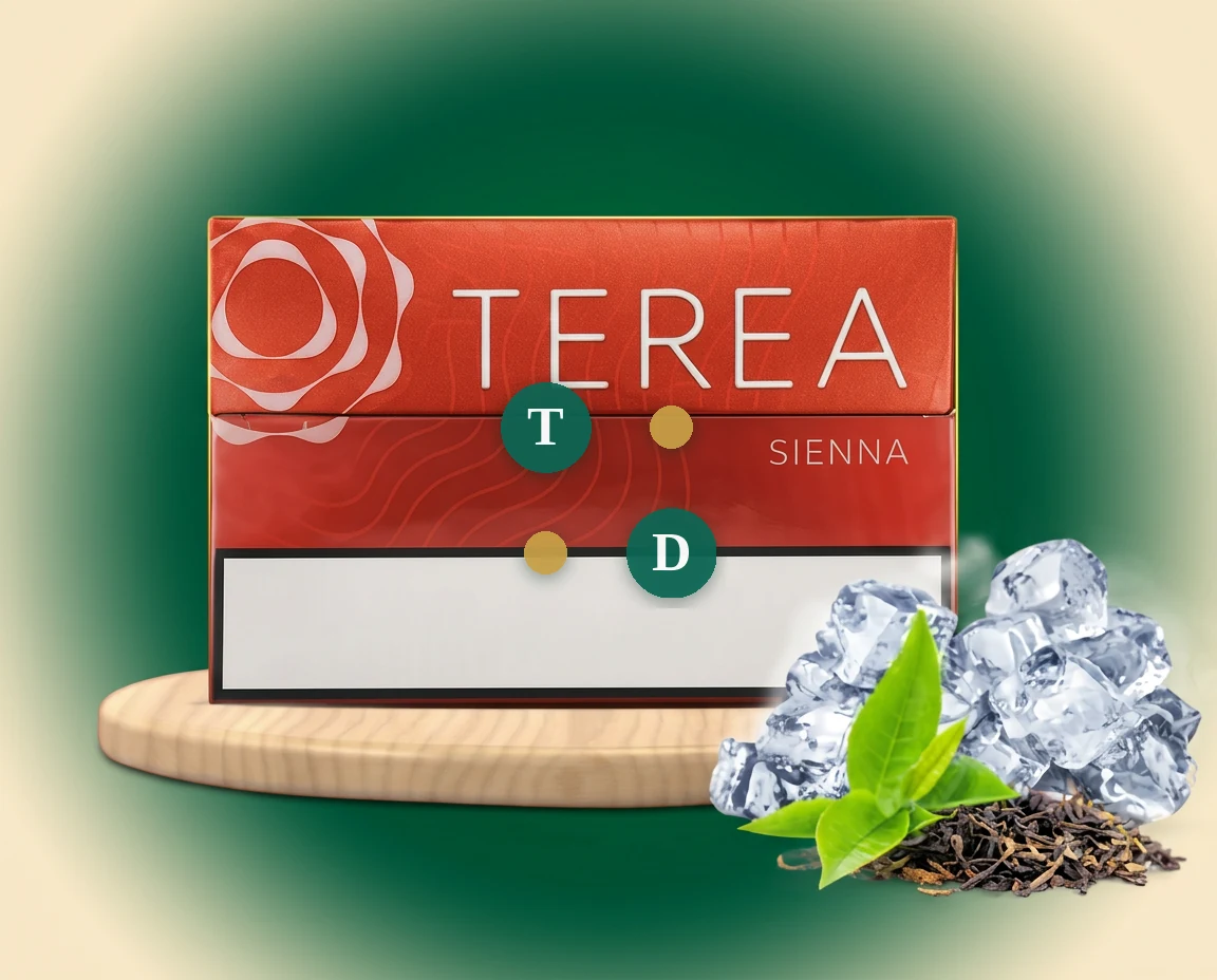 TEREA Sienna Indonesia pack of 20 sticks — buy in Dubai UAE