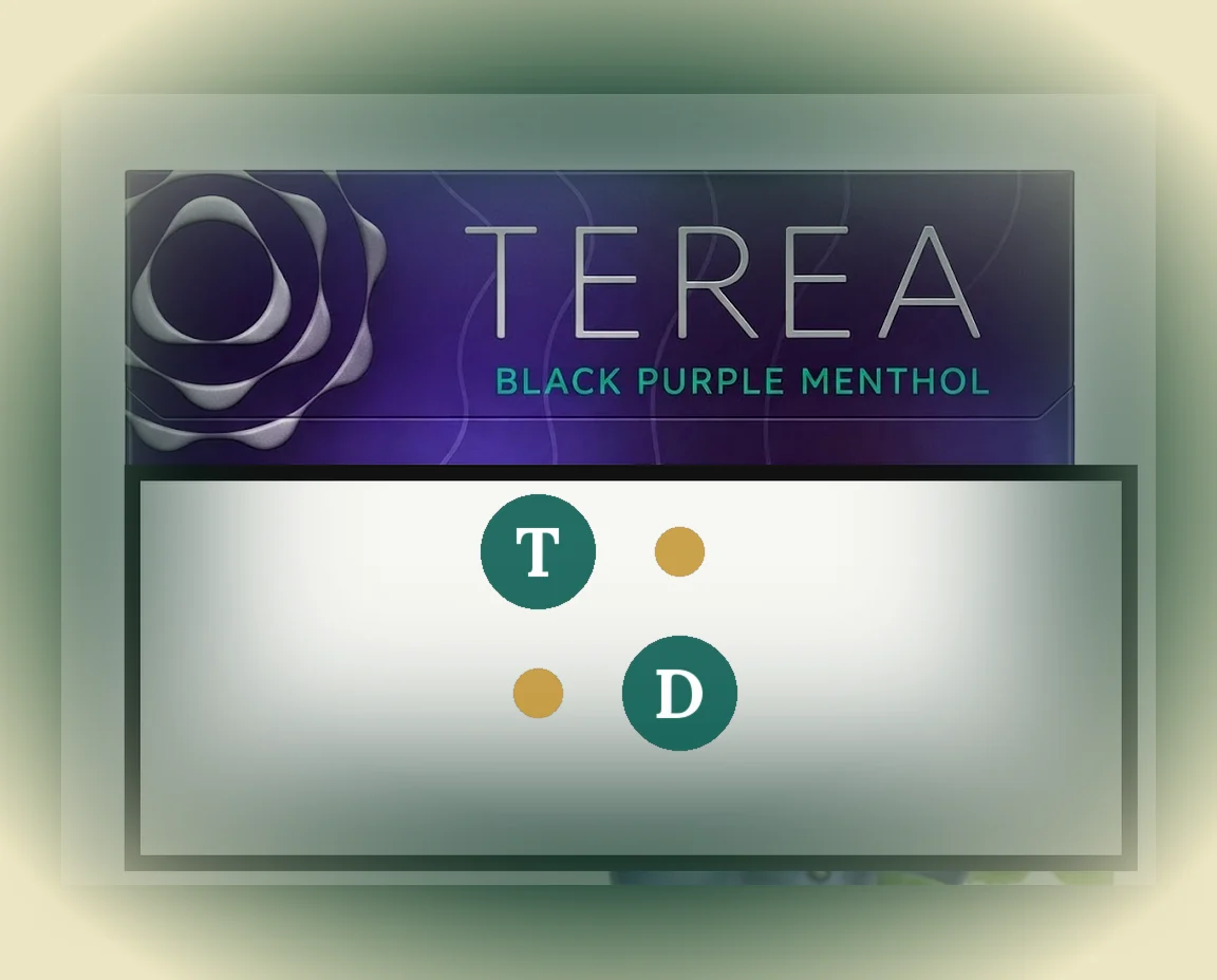 TEREA Black Purple Menthol Japan pack of 20 sticks — buy in Dubai UAE
