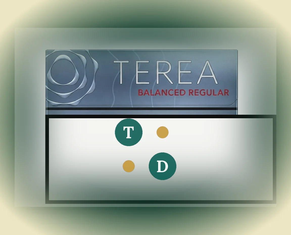 TEREA Balanced Regular Japan pack of 20 sticks — buy in Dubai UAE