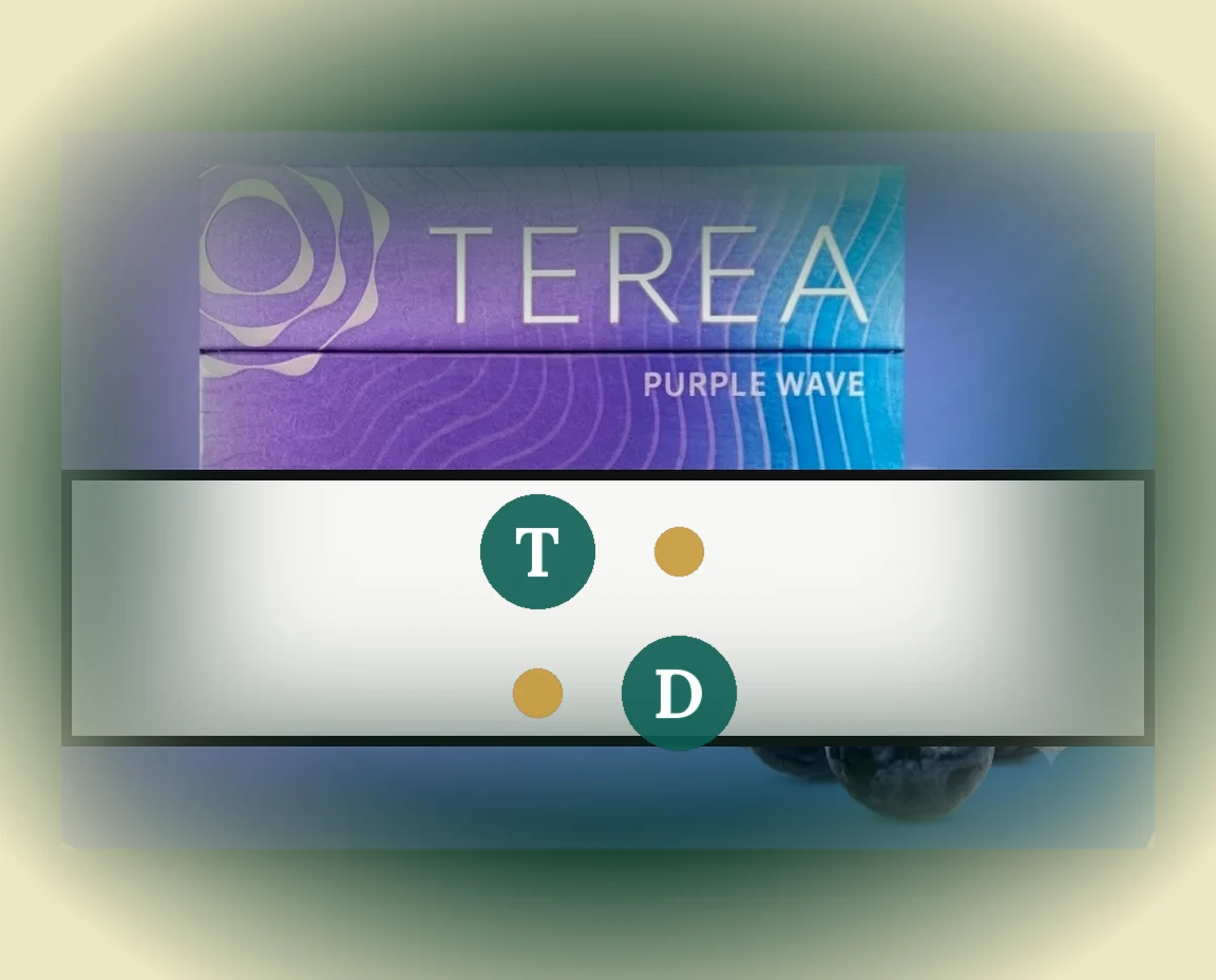 TEREA Purple Wave Indonesia pack of 20 sticks — buy in Dubai UAE
