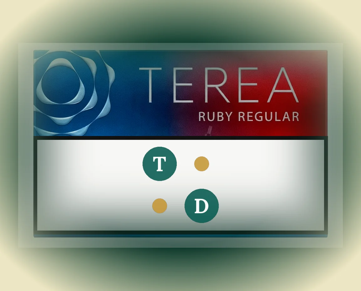 TEREA Ruby Regular Japan pack of 20 sticks — buy in Dubai UAE
