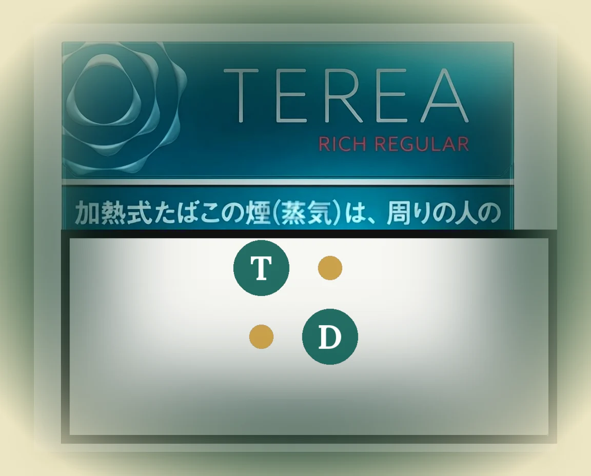 TEREA Rich Regular Japan pack of 20 sticks — buy in Dubai UAE