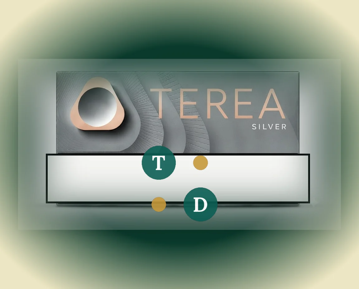 TEREA Silver Kyrgyzstan pack of 20 sticks — buy in Dubai UAE