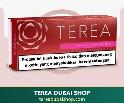 TEREA Sienna Indonesia pack, buy in Dubai UAE