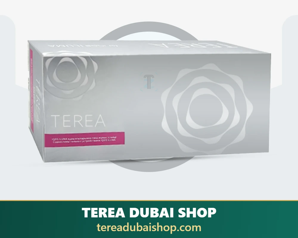 TEREA Silver heated tobacco sticks for IQOS ILUMA — available in Dubai from 4 market versions, from AED 113 per carton of 200