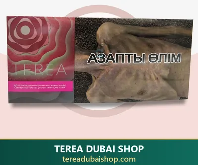 TEREA Starling Pearl Uzbekistan — Uzbekistan — buy in Dubai UAE