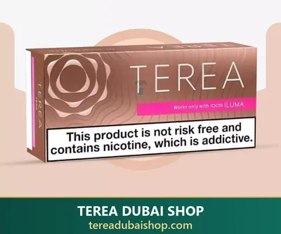 TEREA Teak heated tobacco sticks for IQOS ILUMA — available in Dubai from 1 market versions, from AED 145 per carton of 200