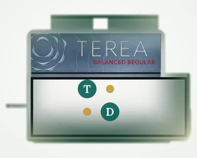 TEREA Balanced Regular Japan pack of 20 heated tobacco sticks for IQOS ILUMA — AED 199 per carton in Dubai