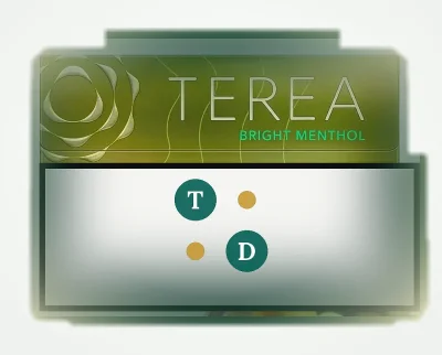 TEREA Bright Menthol Japan pack of 20 heated tobacco sticks for IQOS ILUMA — AED 199 per carton in Dubai