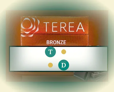 TEREA Bronze Indonesia pack of 20 heated tobacco sticks for IQOS ILUMA — AED 119 per carton in Dubai