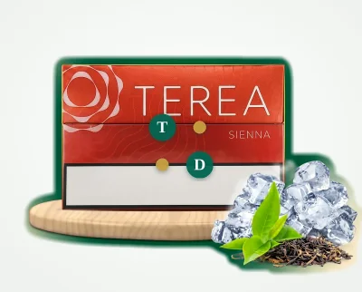 TEREA Sienna Indonesia pack of 20 heated tobacco sticks for IQOS ILUMA — AED 119 per carton in Dubai
