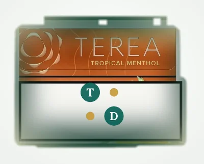 TEREA Tropical Menthol Japan pack of 20 heated tobacco sticks for IQOS ILUMA — AED 199 per carton in Dubai